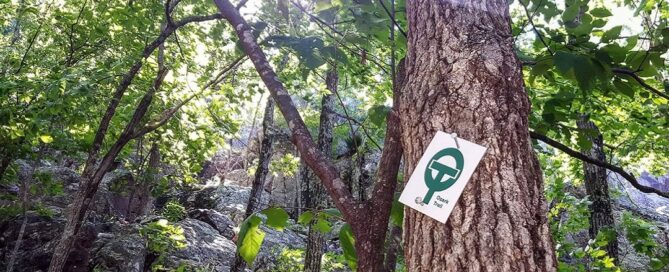 Ozark Trail Hiking