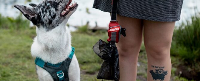 Running with Dog