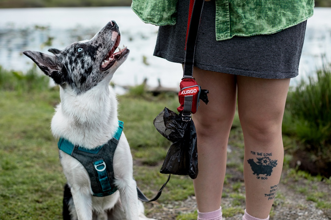 Running with Dog