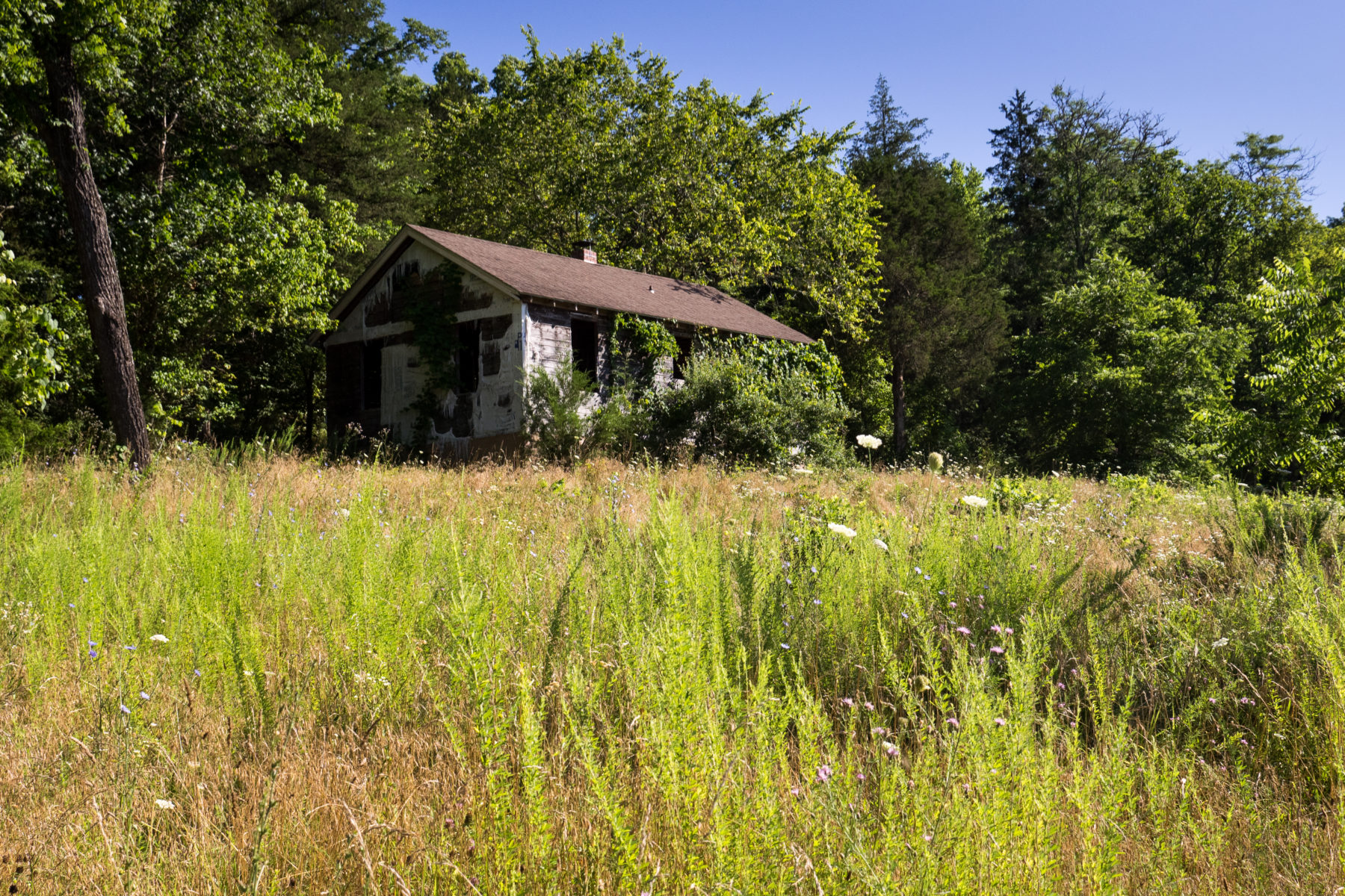Abandoned cabin in the Ozarks