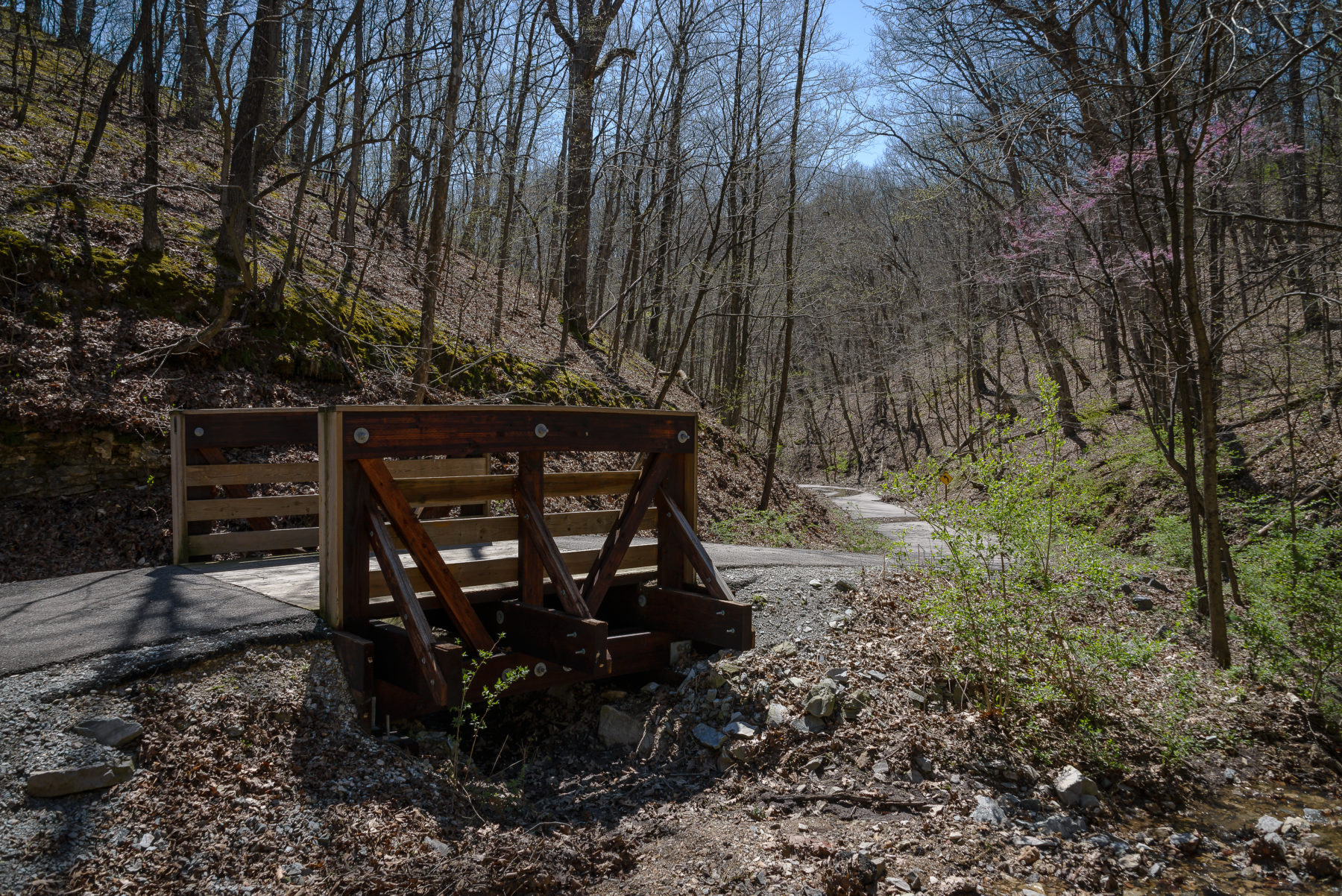 Rock Hollow Trail