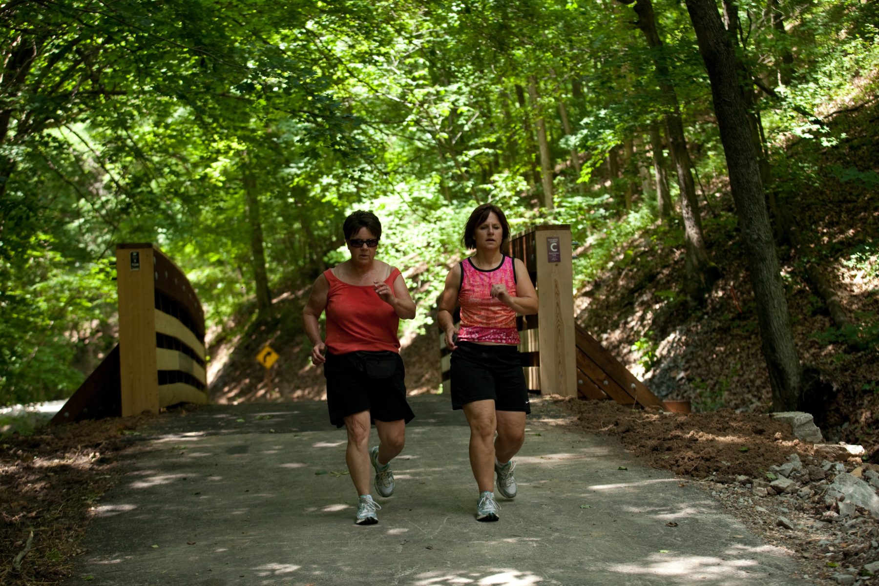 Rock Hollow Trail in Wildwood