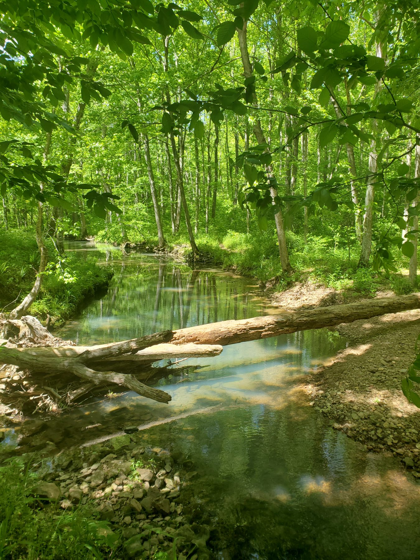 River-to-River Trail