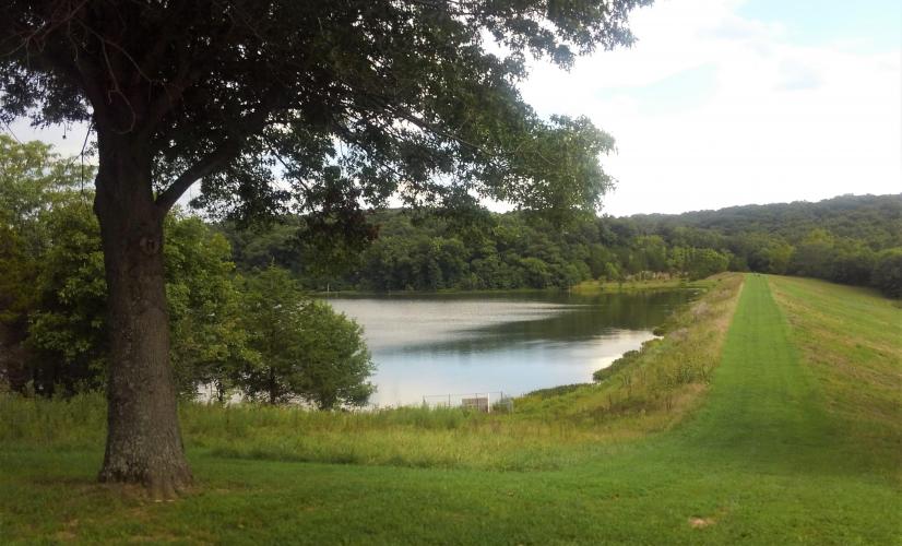 Ben Branch Lake 