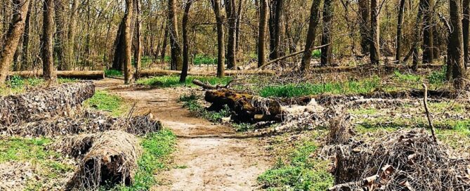 Bangert Island St. Charles, Mo.