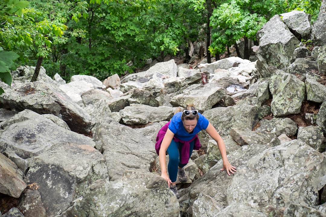 Scrambling up Pinnacle Mountain in Arkansas