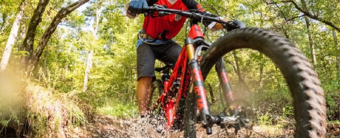 Northwoods Trail System in Arkansas