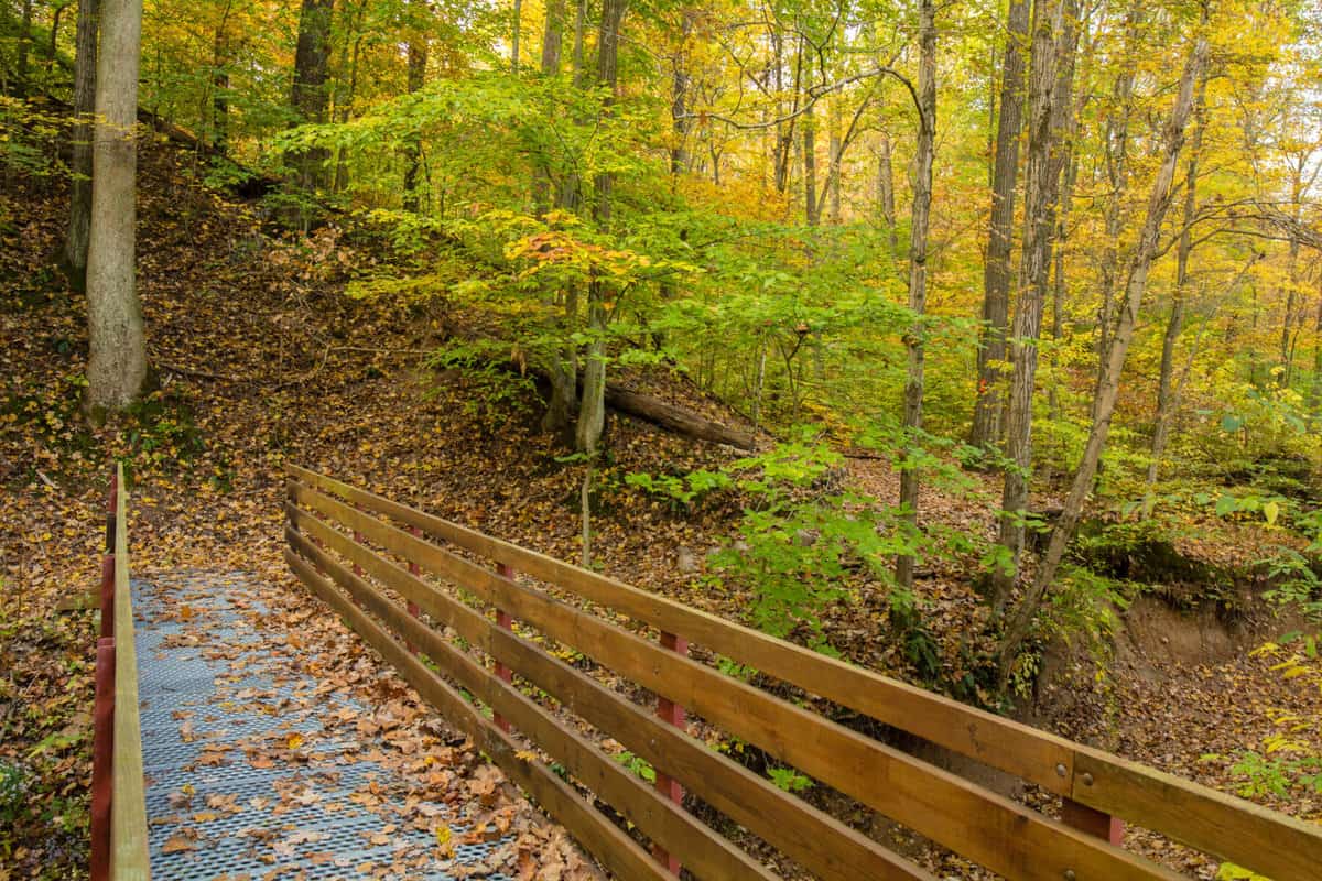 Trail of Tears State Park