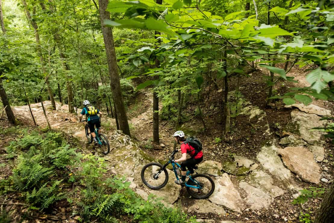 Coler Mountain Bike Preserve. (OZ Trails)