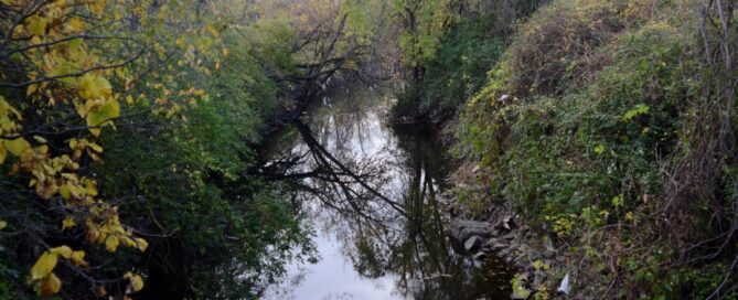 Coldwater Creek in St. Louis