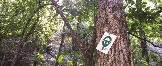 Ozark Trail