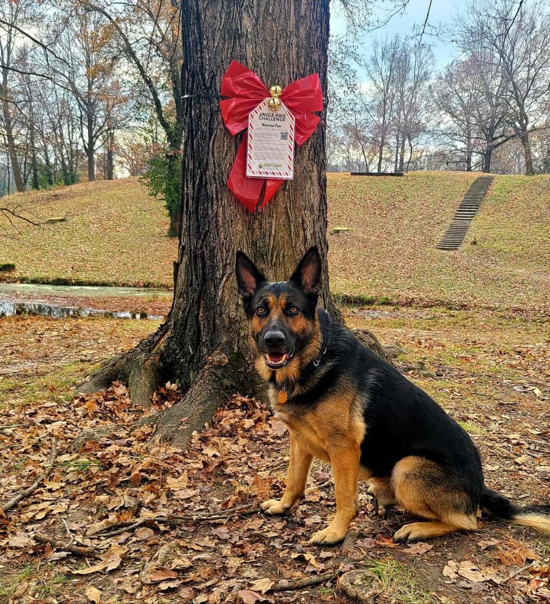 Jingle Hike Challenge