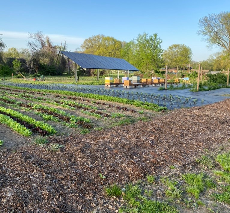 Rustic Roots Sanctuary