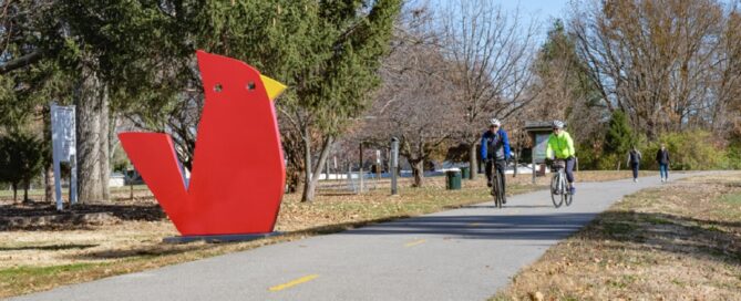 MCT Trail Critters